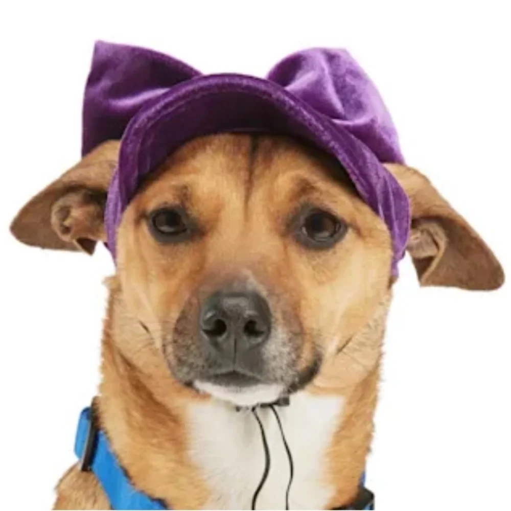 Bundle Dog Hat & neck accessories XS/S